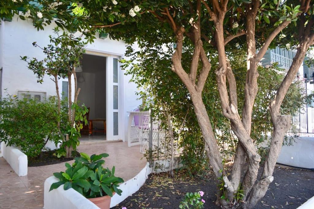 Playa Chica Apt With Terrace 100 M From The Sea Puerto del Carmen  Esterno foto